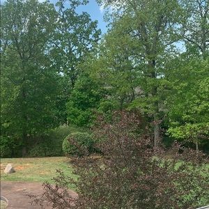 Meet your Posher, AVA